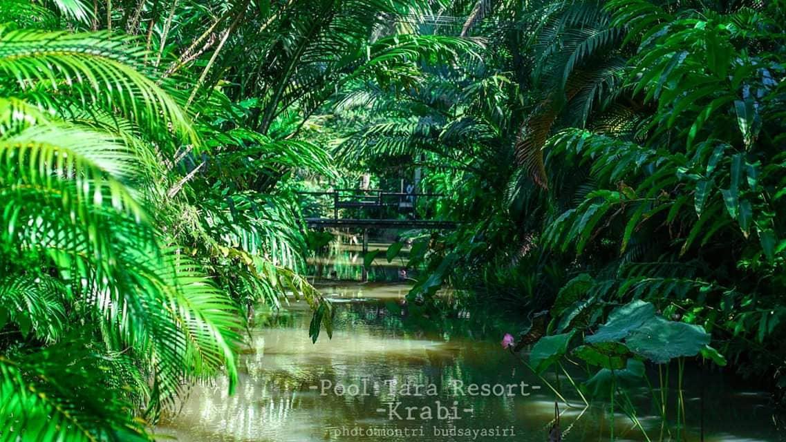 Krabi Pooltara Resort - Image 5